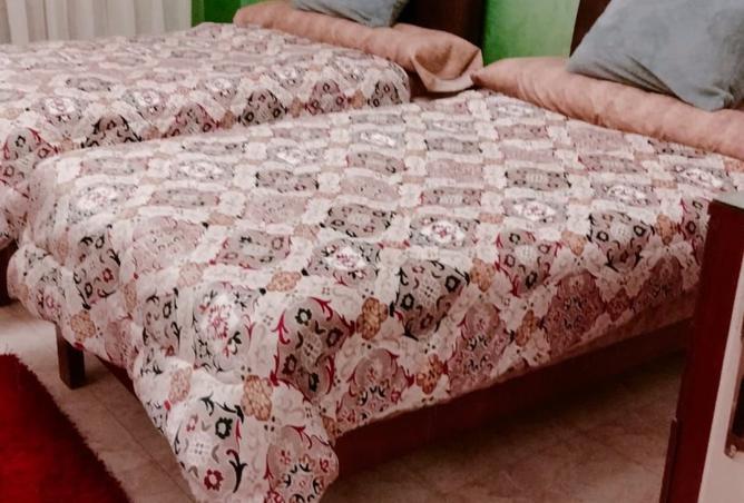 8359358 - صورة العقار 2