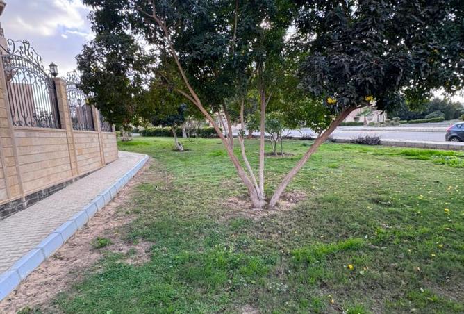 8498812 - صورة العقار 3