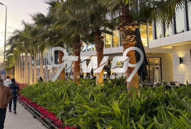 8293824 - صورة العقار 3