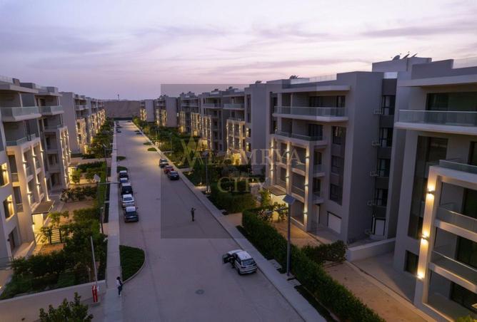 8105901 - صورة العقار 3