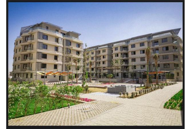 8129098 - Property Image 2