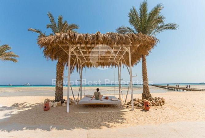 7882981 - صورة العقار 2