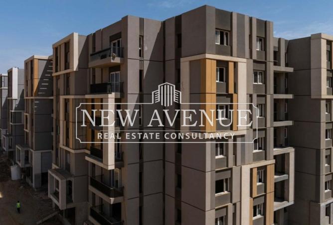 7915241 - Property Image 2