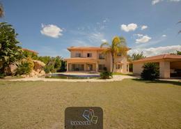 Villa - 4 bedrooms - 3 bathrooms for للايجار in Mohammed Rashid Road - King Mariout - Hay Al Amereyah - Alexandria
