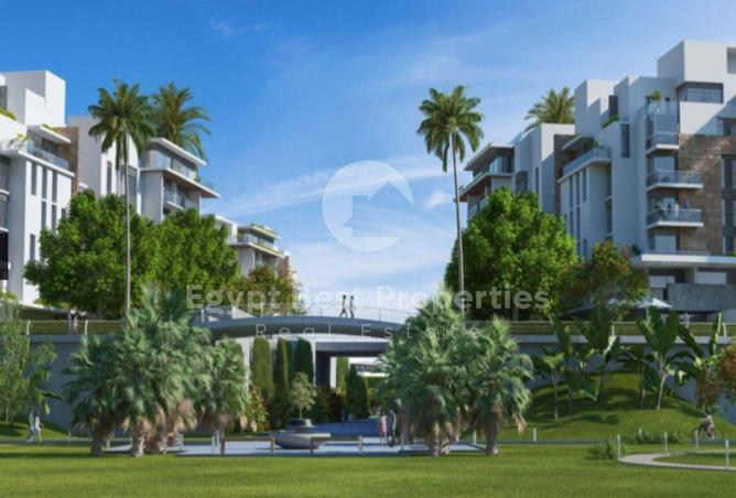 7945590 - Property Image 2