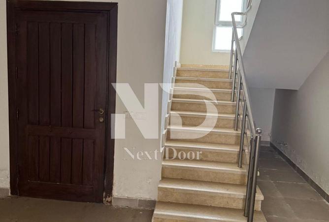 7813436 - Property Image 3