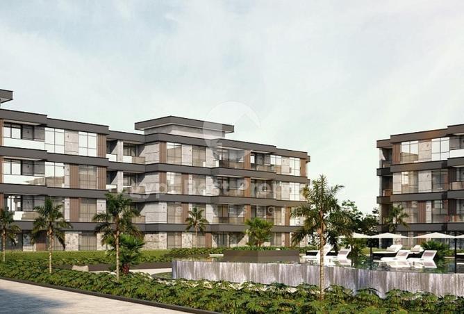 8030334 - Property Image 2