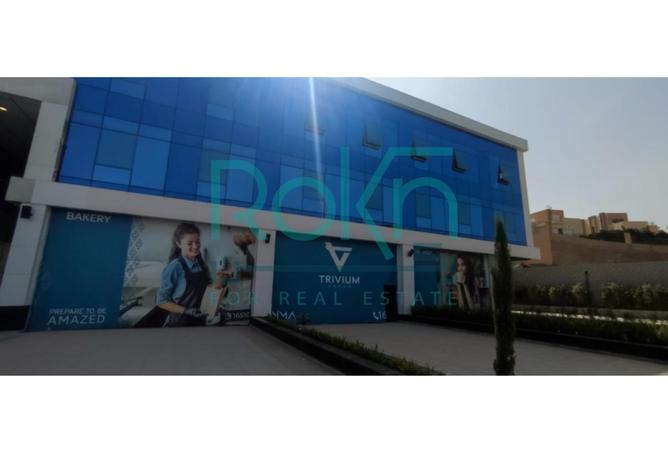 8248179 - Property Image 2