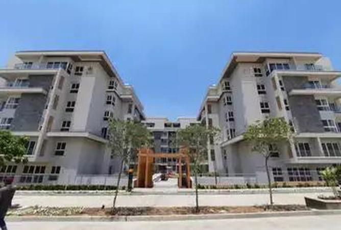 8274464 - Property Image 3