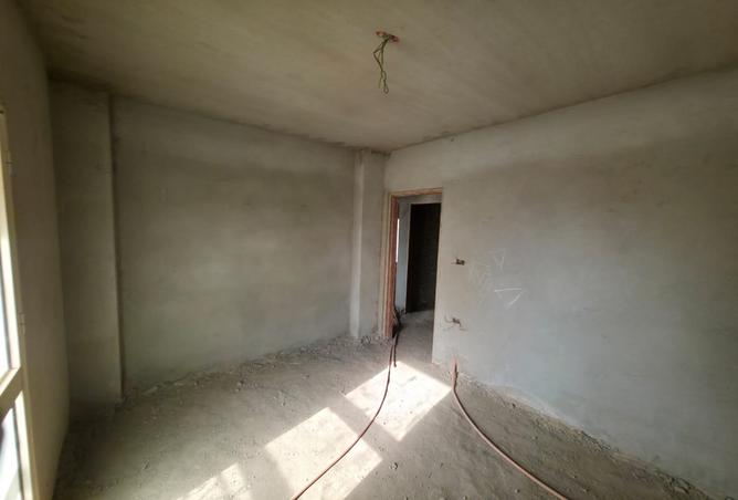 8041384 - Property Image 3