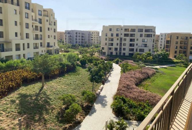 8436663 - Property Image 3