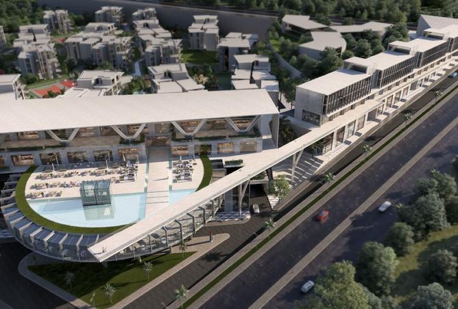 8355284 - Property Image 2