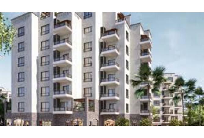 8107678 - Property Image 3