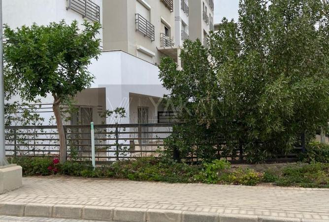 8186461 - صورة العقار 3