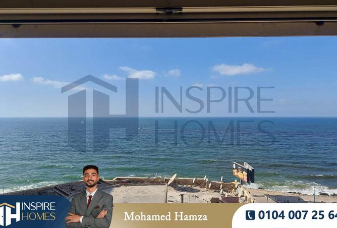 7937366 - Property Image 2