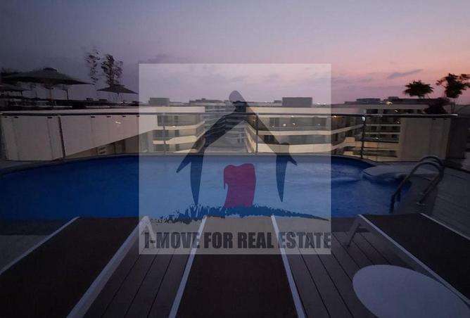 8239509 - Property Image 3