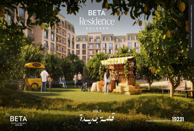 7969150 - صورة العقار 2