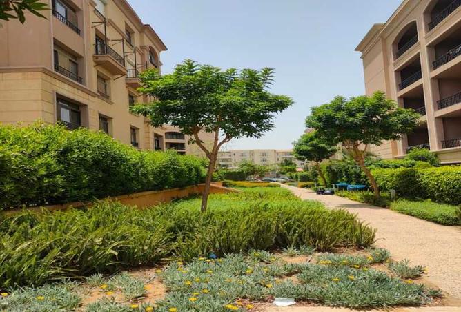 8195881 - صورة العقار 2