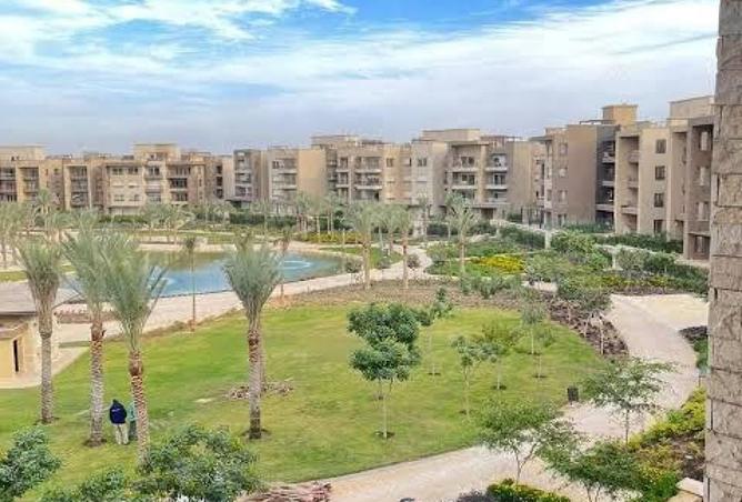 8439773 - Property Image 3