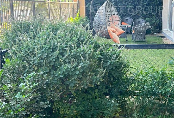 8559749 - Property Image 2