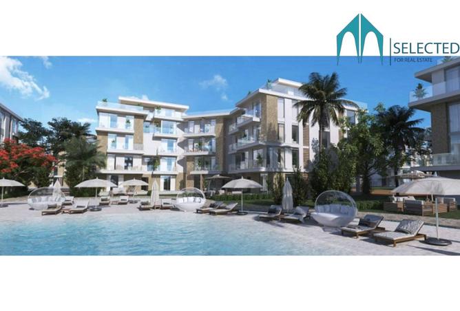 8507742 - Property Image 3