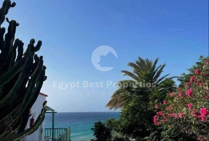 8067571 - Property Main Image