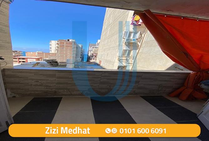 8081640 - Property Image 3