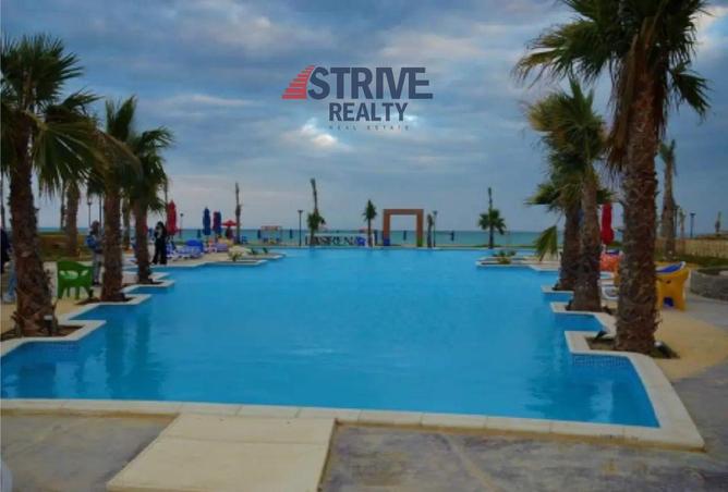 8431894 - Property Image 2