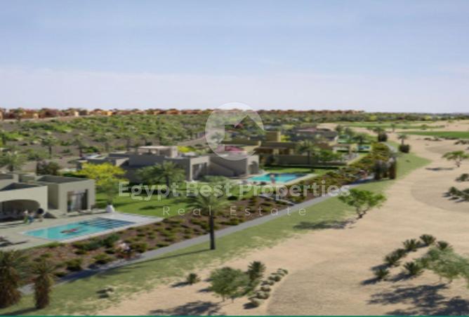 8007251 - Property Image 3