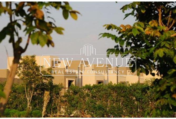 8170021 - صورة العقار 3