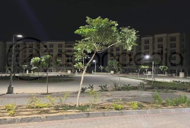 8132126 - Property Image 3