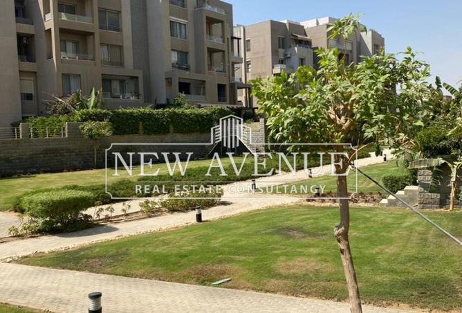 8032053 - Property Image 3