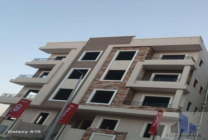8081219 - Property Image 3