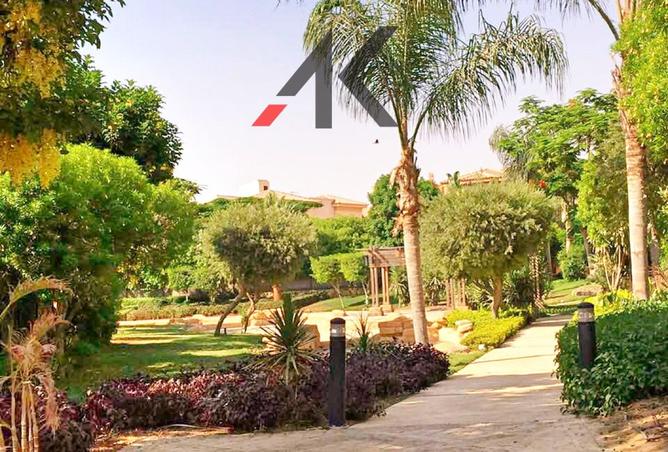 8033888 - صورة العقار 3