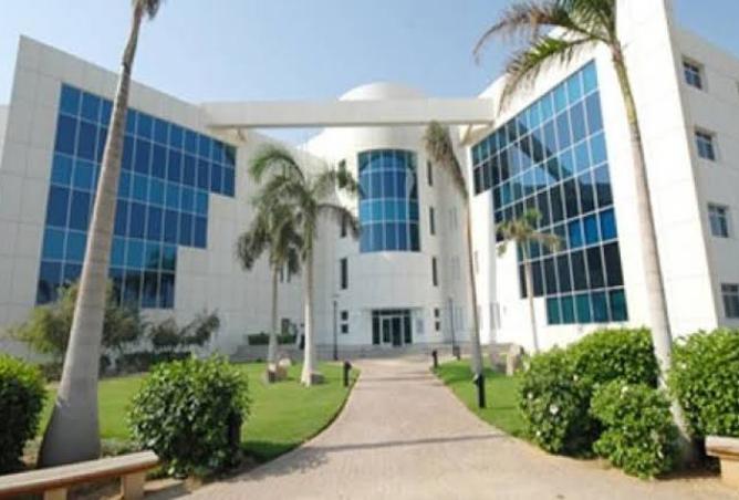 8048619 - صورة العقار 3