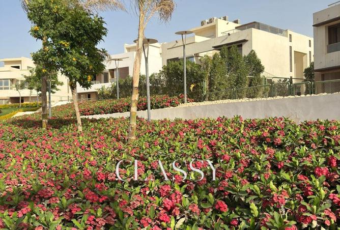 8401002 - صورة العقار 2