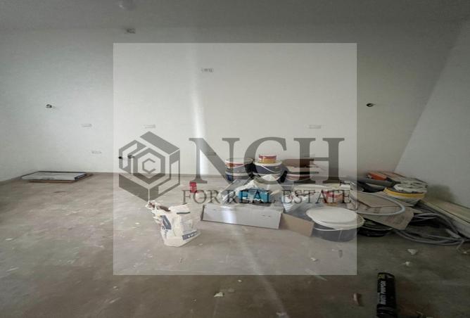 8146050 - Property Image 3