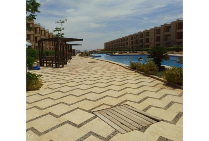 8272039 - Property Image 3