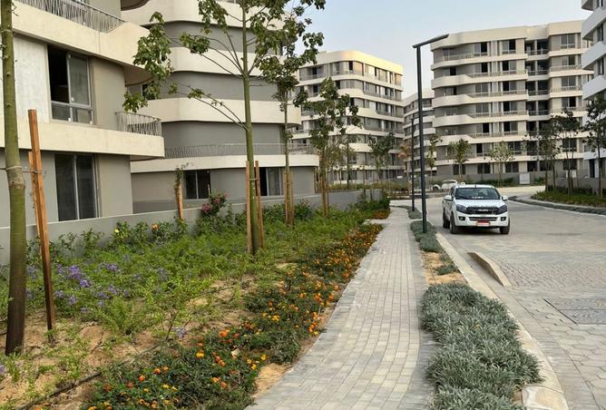 8536351 - صورة العقار 2