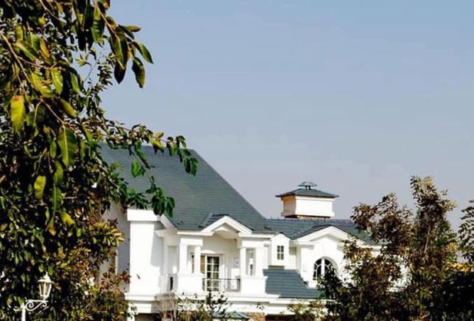 8282458 - صورة العقار 3