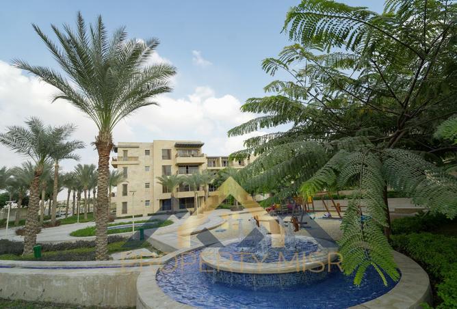 8451359 - Property Image 2