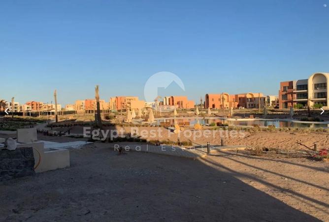 8018035 - Property Image 3