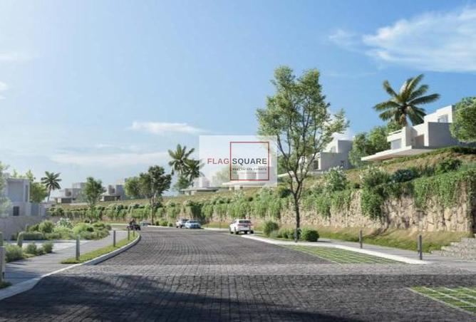 8244985 - Property Image 3