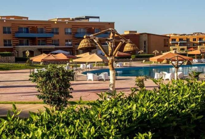 8438843 - Property Image 3