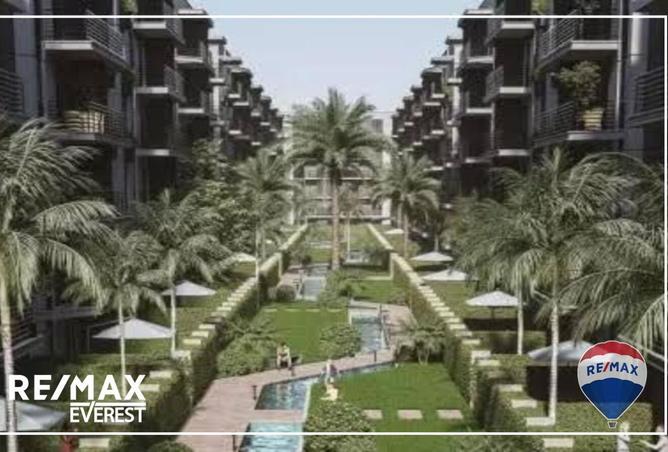 8175550 - Property Image 3