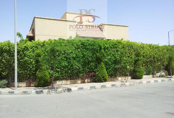 8061069 - صورة العقار 2