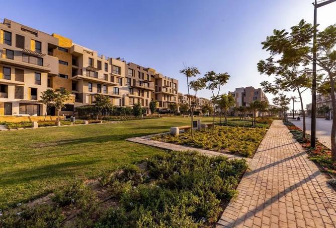 8298219 - Property Image 3