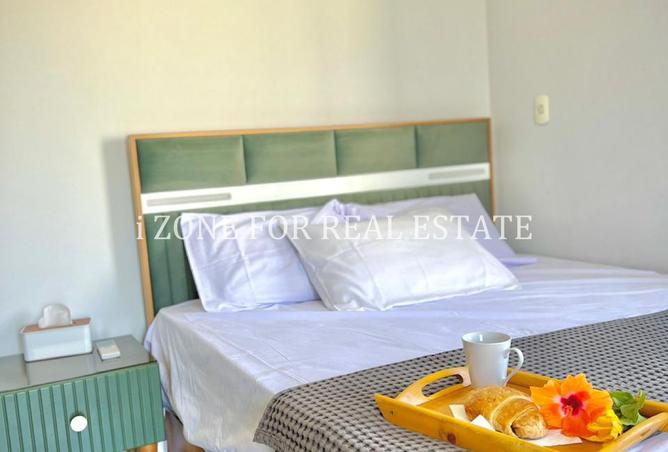 8124296 - Property Image 3