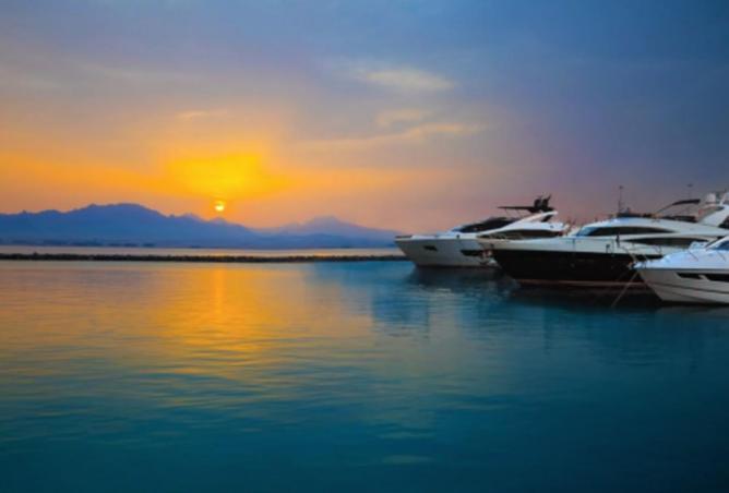 8007073 - صورة العقار 2
