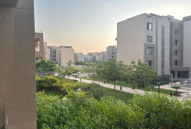 7911559 - صورة العقار 3